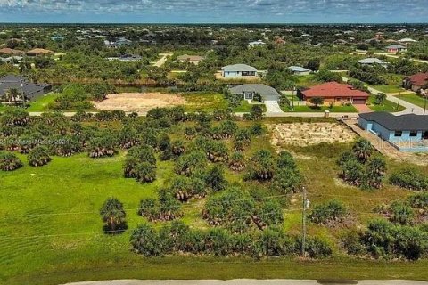 Land in Port Charlotte, Florida № 2164348 - photo 9