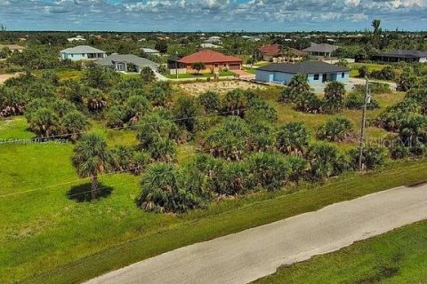 Land in Port Charlotte, Florida № 2164348 - photo 6