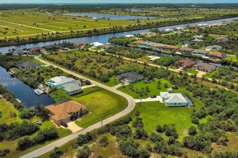Land in Port Charlotte, Florida № 2164348 - photo 4