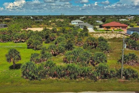 Land in Port Charlotte, Florida № 2164348 - photo 5