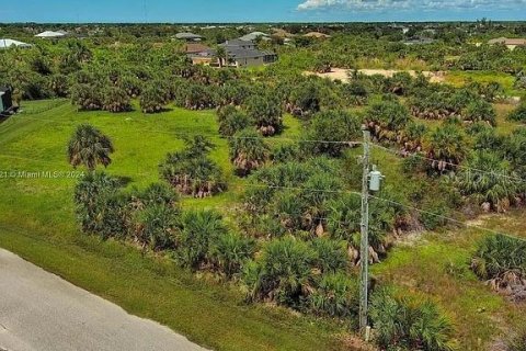 Land in Port Charlotte, Florida № 2164348 - photo 7