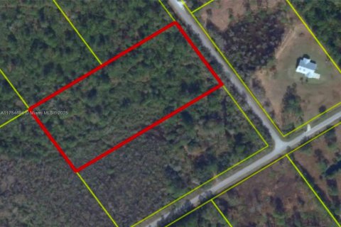 Land in Okeechobee, Florida № 1692725 - photo 1