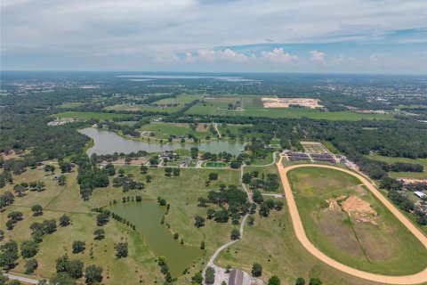 Terreno en venta en Summerfield, Florida № 1787526 - foto 7