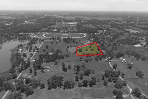 Terreno en venta en Summerfield, Florida № 1787526 - foto 17