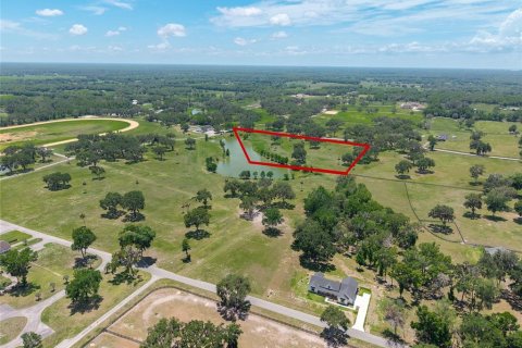 Terreno en venta en Summerfield, Florida № 1787526 - foto 4