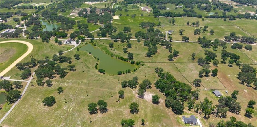 Terreno en Summerfield, Florida № 1787526