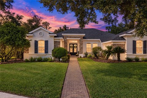 Villa ou maison à Fish Hawk, Floride 5 chambres, 361.2 m2 № 2418499
