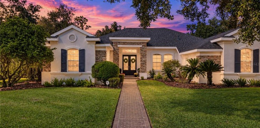 Villa ou maison à Fish Hawk, Floride 5 chambres, 361.2 m2 № 2418499