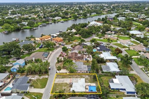 Land in Bradenton, Florida № 2197073 - photo 12