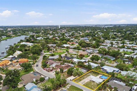 Land in Bradenton, Florida № 2197073 - photo 13