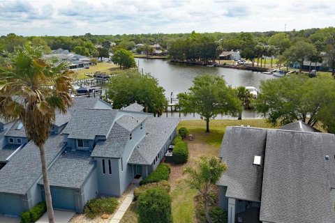 Condo in Crystal River, Florida, 2 bedrooms № 2110873 - photo 2