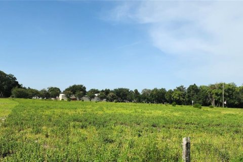 Land in Pierson, Florida № 1800141 - photo 3