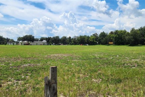 Land in Pierson, Florida № 1800141 - photo 4