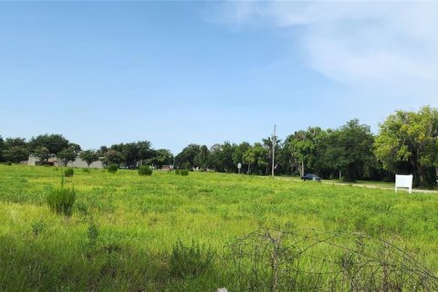 Land in Pierson, Florida № 1800141 - photo 5