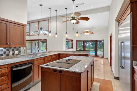 Villa ou maison à vendre à Ocala, Floride: 5 chambres, 397.34 m2 № 2297072 - photo 11