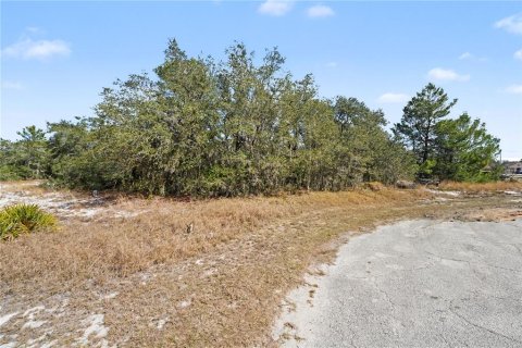 Land in Poinciana, Florida № 2109171 - photo 5