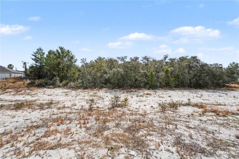 Land in Poinciana, Florida № 2109171 - photo 6