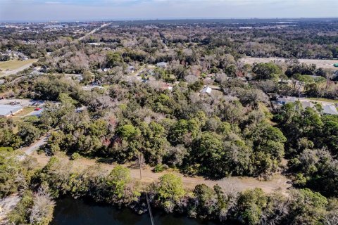 Land in New Smyrna Beach, Florida № 930414 - photo 2