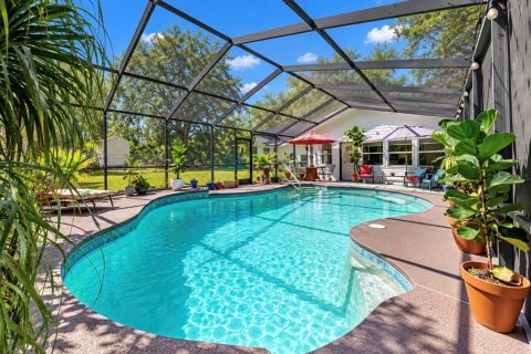 Villa ou maison à vendre à Dover, Floride: 4 chambres, 259.38 m2 № 2432742 - photo 7