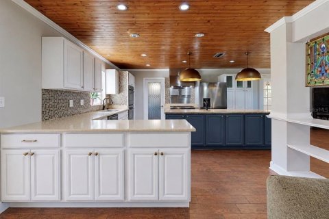 Villa ou maison à vendre à Dover, Floride: 4 chambres, 259.38 m2 № 2432742 - photo 20