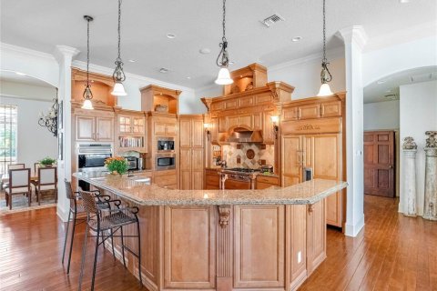 Casa en alquiler en Howey-in-the-Hills, Florida, 6 dormitorios, 632.85 m2 № 1906129 - foto 10