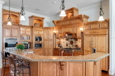 Casa en alquiler en Howey-in-the-Hills, Florida, 6 dormitorios, 632.85 m2 № 1906129 - foto 12