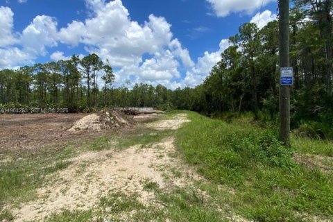 Terreno en venta en Lehigh Acres, Florida № 2081098 - foto 4