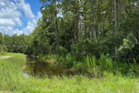 Terreno en venta en Lehigh Acres, Florida № 2081098 - foto 3