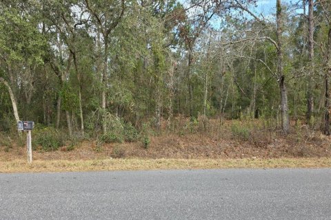 Terrain à Ocala, Floride № 2144225