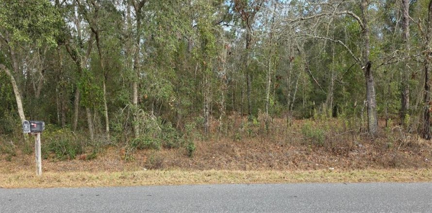 Terrain à Ocala, Floride № 2144225