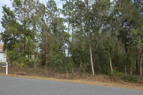 Terrain à vendre à Ocala, Floride № 2144225 - photo 4