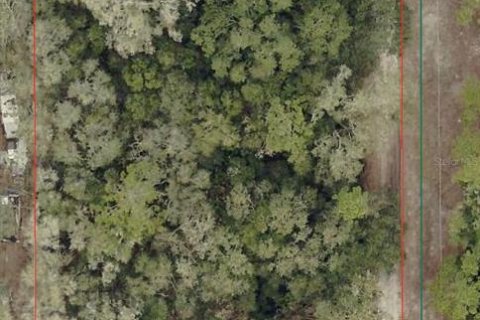 Land in Dunnellon, Florida № 2165619