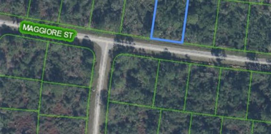 Terrain à Sebring, Floride № 2164613