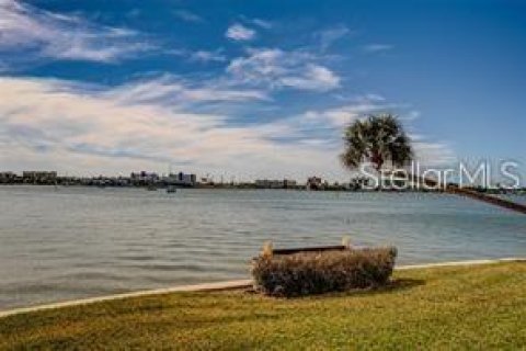 Condominio en alquiler en Saint Petersburg, Florida, 2 dormitorios, 90.12 m2 № 1901658 - foto 23