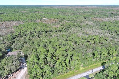 Land in Naples, Florida № 2221185 - photo 10