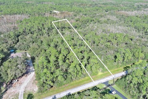 Land in Naples, Florida № 2221185 - photo 2