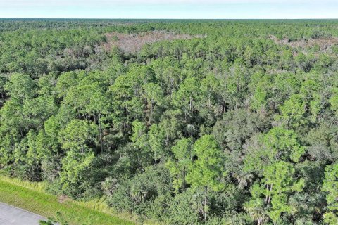 Land in Naples, Florida № 2221185 - photo 5