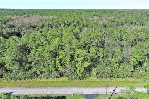 Land in Naples, Florida № 2221185 - photo 3