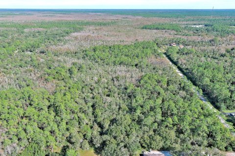 Land in Naples, Florida № 2221185 - photo 13