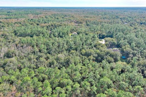 Land in Naples, Florida № 2221185 - photo 17