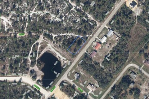 Land in Lake Placid, Florida № 2165378