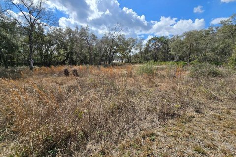Terreno en venta en Webster, Florida № 2218339 - foto 5