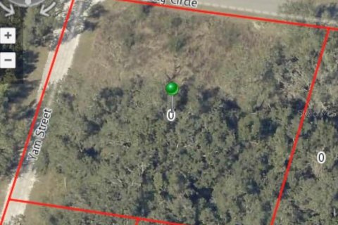 Terreno en venta en Webster, Florida № 2218339 - foto 13