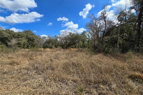 Terreno en venta en Webster, Florida № 2218339 - foto 11