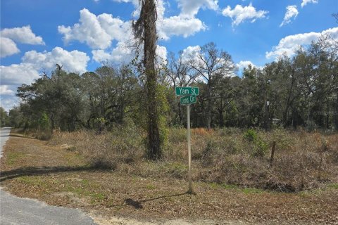 Terreno en venta en Webster, Florida № 2218339 - foto 3
