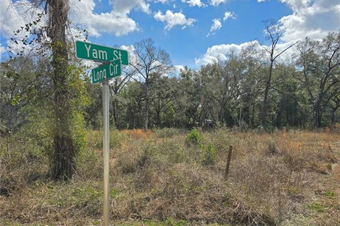 Terreno en venta en Webster, Florida № 2218339 - foto 2