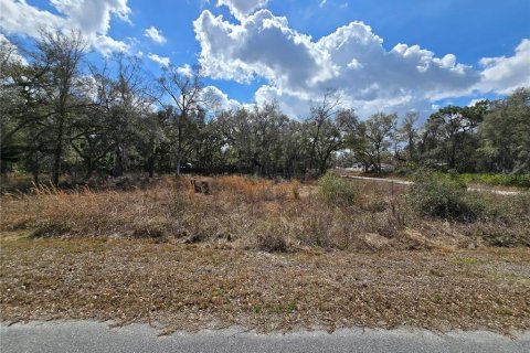 Terreno en venta en Webster, Florida № 2218339 - foto 4