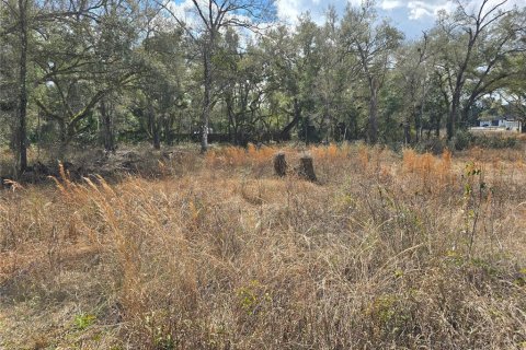 Terreno en venta en Webster, Florida № 2218339 - foto 6