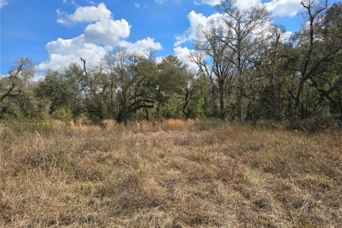 Terreno en venta en Webster, Florida № 2218339 - foto 9