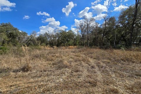 Terreno en venta en Webster, Florida № 2218339 - foto 10